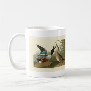 Caneca De Café Pato de Shoveller - das Aves da América de Audubon