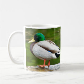Caneca De Café Pato em uma Rocha