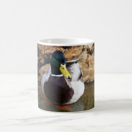 Caneca De Café Pato masculino do pato selvagem