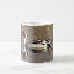 Caneca De Café Pato Rabo-de-Palha Nadeia Num Lago