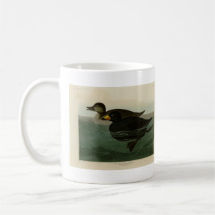 Caneca De Café Pato Scoter Americano - Pássaros da América de Aud
