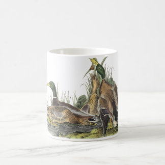 Caneca De Café Pato selvagem, John Audubon