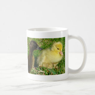 Caneca De Café Patos