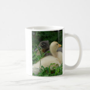 Caneca De Café Patos
