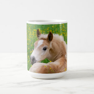 Caneca De Café Pé de cavalo Haflinger numa Foto Flor _