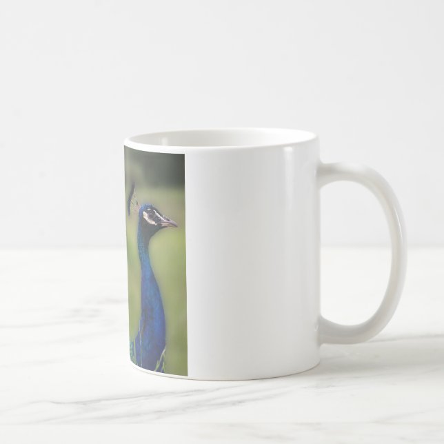 Caneca De Café Peacock Photo Classic White Mug (Direita)