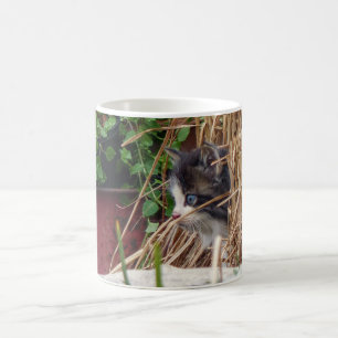 Caneca De Café Peek-a-Boo