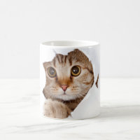 Peek-a-Mew - Adorável Rosto de Gato