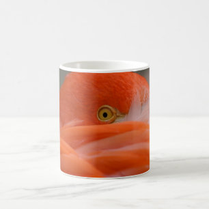 Caneca De Café Peeking Flamingo