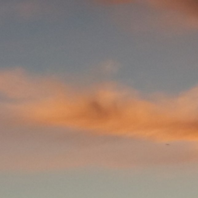 Caneca De Café Pegue cada sonho Mug (Criador carregado)