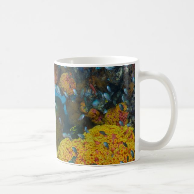 Caneca De Café Peixe Entre Recife de Coral (Direita)
