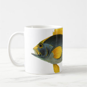 Caneca De Café Peixe Garoupa Azul e Amarelo, Vida Marinha Antiga