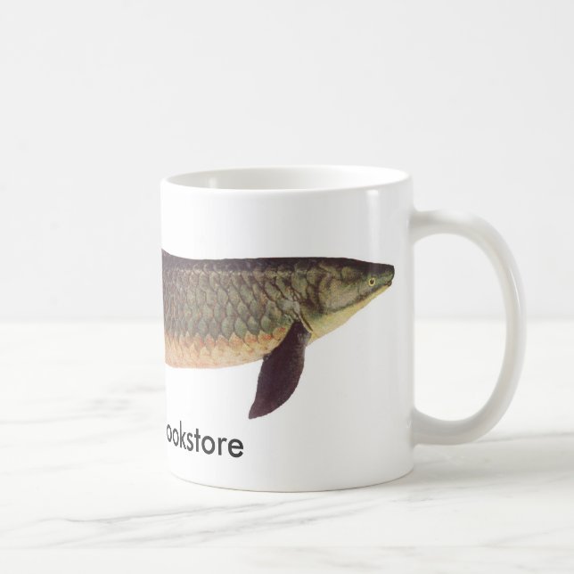 Caneca De Café Peixes - Qld. Lungfish - Promo do forsteri do (Direita)