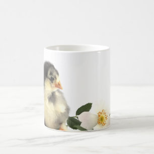 Caneca De Café Pequenas galinhas fofinhas doce bebê