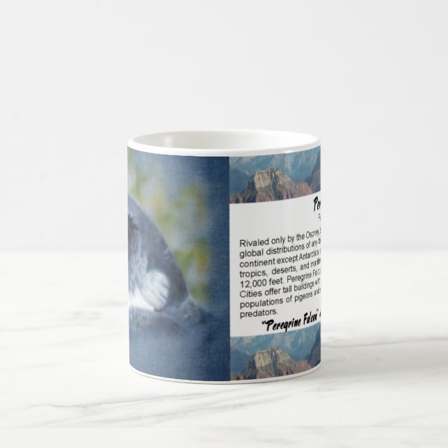 Caneca De Café Peregrine Falcon Mug (Centro)