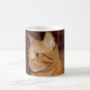 Caneca De Café Perfil do rosto do gato de mesa laranja