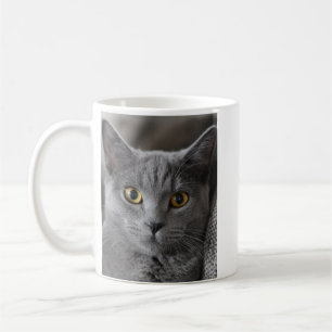 CANECA DE CAFÉ PERSONALIZADA COM FOTO DE GATO