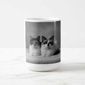 Caneca De Café Personalized Pet Mug – High-Resolution Cat Photo