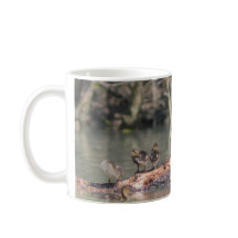 Petits canards
