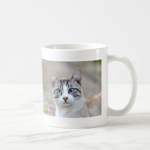 Caneca De Café Photo cat , pet , animais 0138.