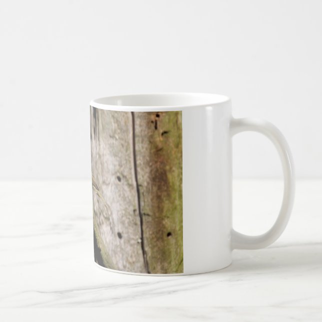 Caneca De Café Phylloscopus collybita (Direita)