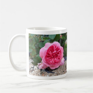 Caneca De Café Pia Rosa Rosa Flor Flor, Jardineiros Botânicos Mug