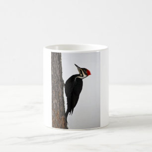 Caneca De Café pica-pau pileated