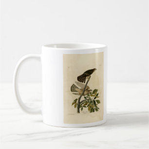 Caneca De Café Pigeon Hawk (Merlin) - Aves da América de Audubon
