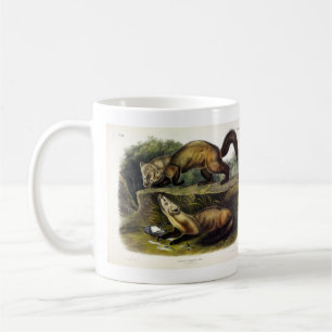 Caneca De Café Pine Marten (Mustela Martes) - Marten Americano