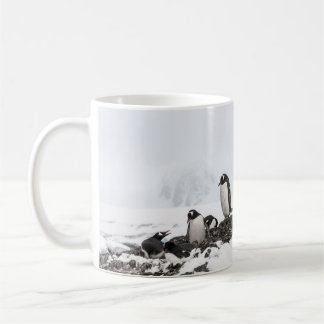 Caneca De Café Pinguins, Antártica, Estação Vernadsky.