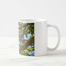 Caneca De Café Pintassilgo-real