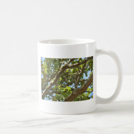 Caneca De Café Pintassilgo-real