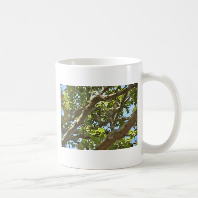 Caneca De Café Pintassilgo-real (Direita)