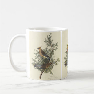 Caneca De Café Pintura de pássaros Cedar de Audubon