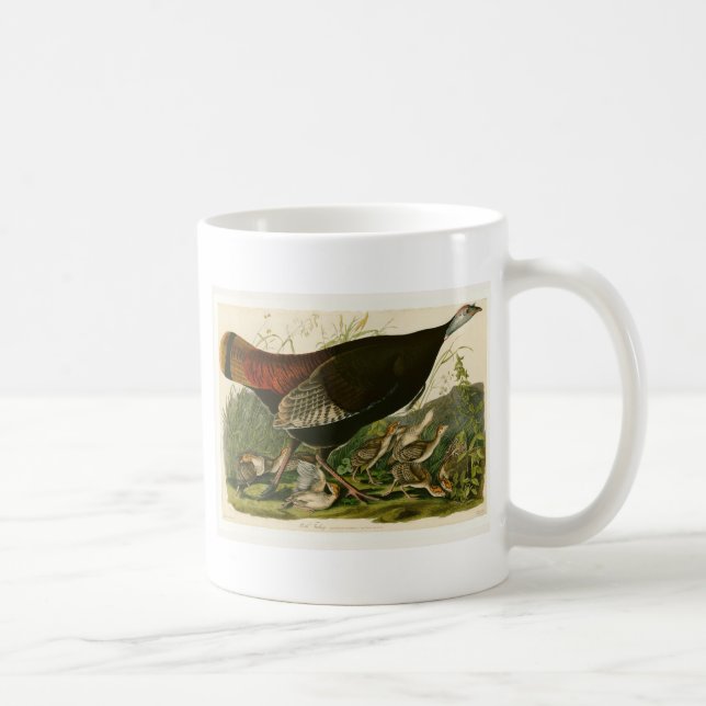 Caneca De Café Pintura de pássaros Selvagens de Audubon na Turqui (Direita)