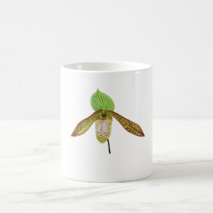 Caneca De Café Pintura em aquarela botânica de orquídea Paphioped
