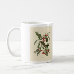 Caneca De Café Piping Flycatcher das Aves da América de Audubon