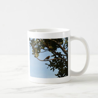 Caneca De Café Pirilampo-comum