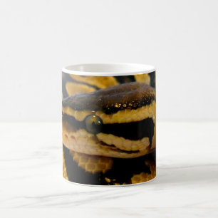 Caneca De Café Pitão Pastel da bola
