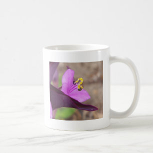 Caneca De Café planta roxa chamada aranha-papa e uma abelha minús