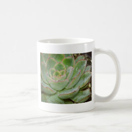 Caneca De Café Planta Suculenta