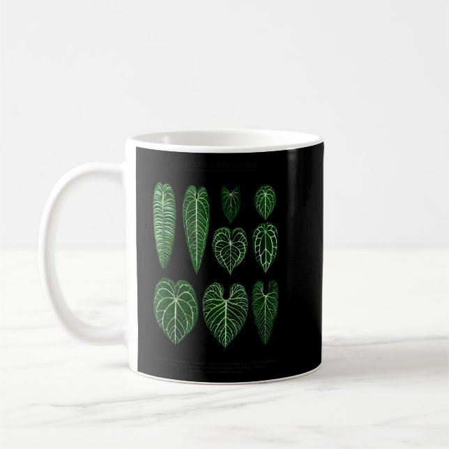 Caneca De Café Plantas De Antuério Foliage Veitchii Waroqueanum C (Esquerda)