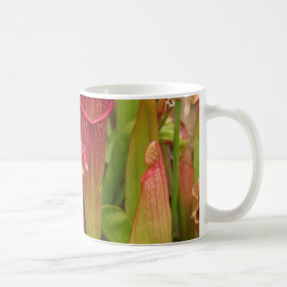 Caneca De Café Plantas de jarro