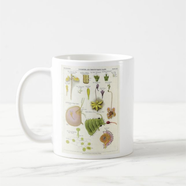 Caneca De Café Plantas parasíticas & carnívoras (Esquerda)