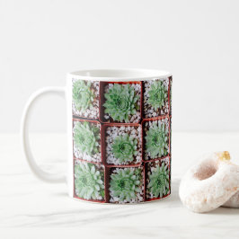 Caneca De Café Plantas Suculentas Exóticas