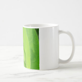 Caneca De Café plantio legal