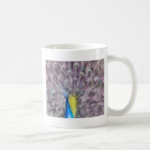 Caneca De Café Plumagem de Acasquilho de Pavão de Penas Finas