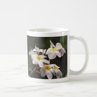 Caneca De Café plumeria