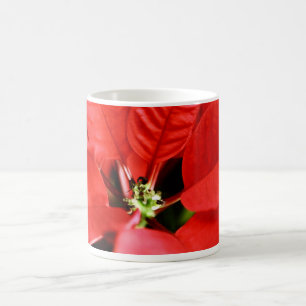 Caneca De Café Poinsettia Vermelha Brilhante