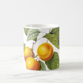Caneca De Café Pomar PixDezines/Pêssegos/Redoute